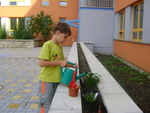DSC02778.JPG